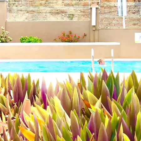 Comfort In Playa Americas דירה