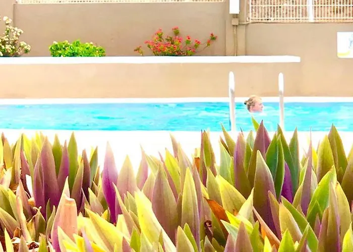 Comfort In Playa Americas Lejlighed
